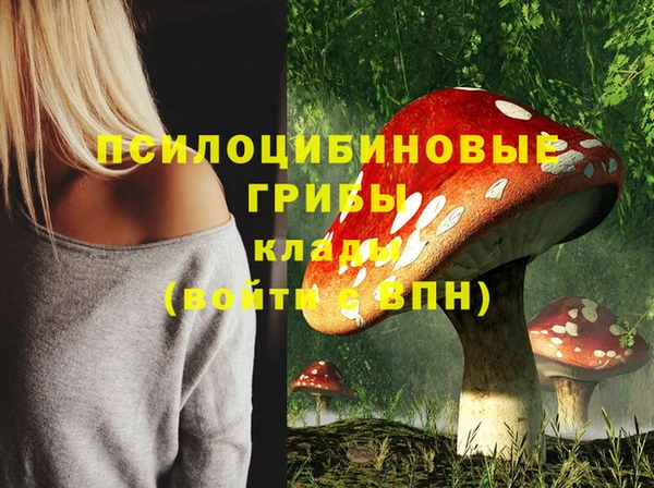 2c-b Лабытнанги