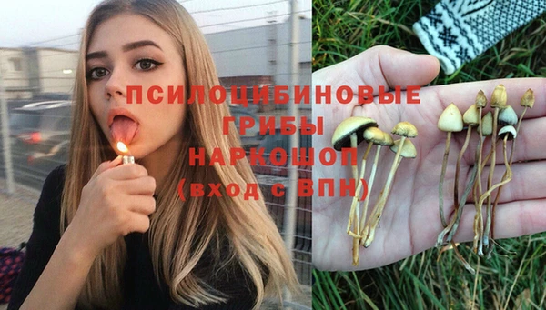 СК Ладушкин
