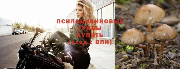 jwh Лагань
