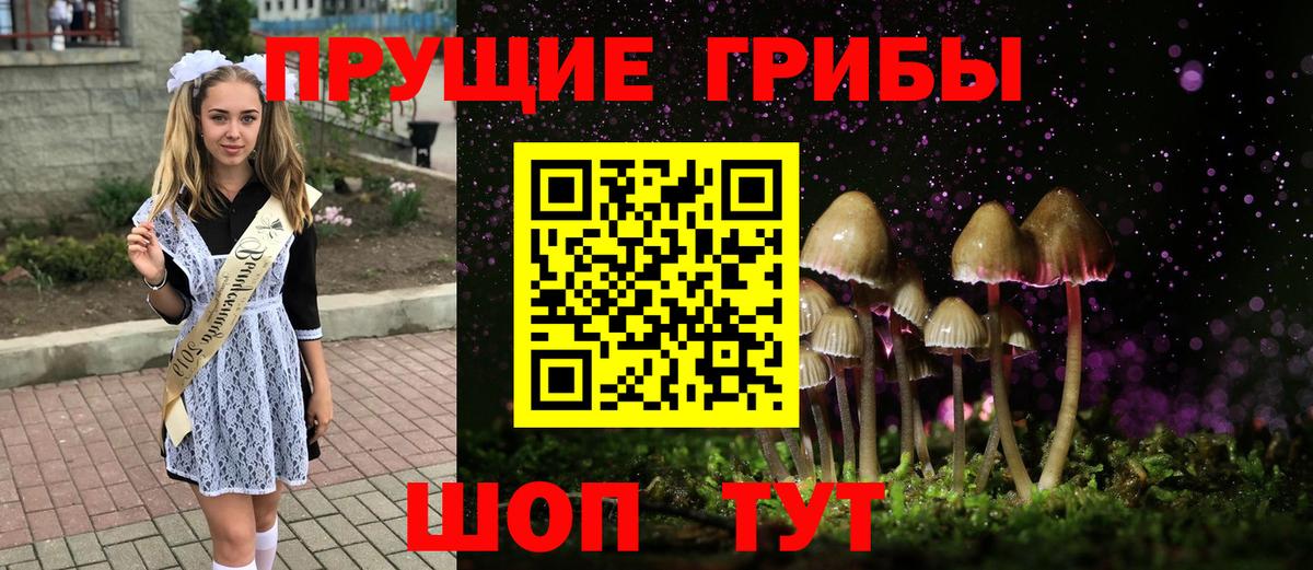 Галлюциногенные грибы GOLDEN TEACHER Ковров