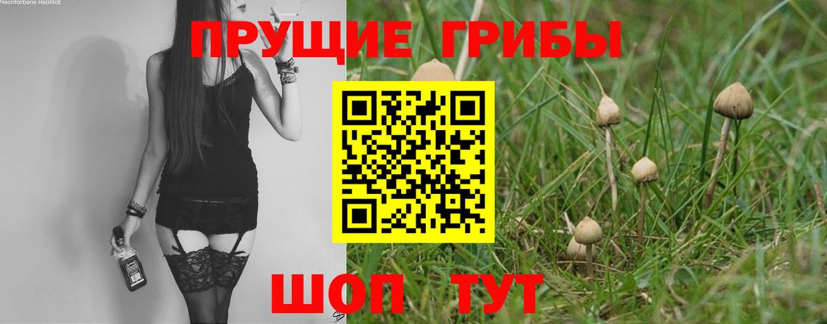 Галлюциногенные грибы Psilocybine cubensis  Псилоцибиновые грибы мицелий  Ковров  Вход с VPN 